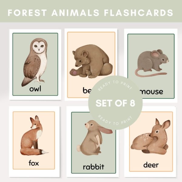 Forest Animals Flashcards - Image 4