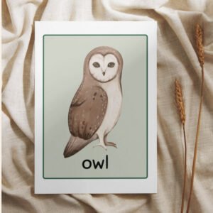Forest Animals Flashcards