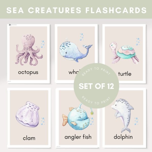 Sea Creatures Flashcards - Image 6