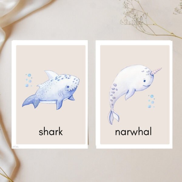 Sea Creatures Flashcards